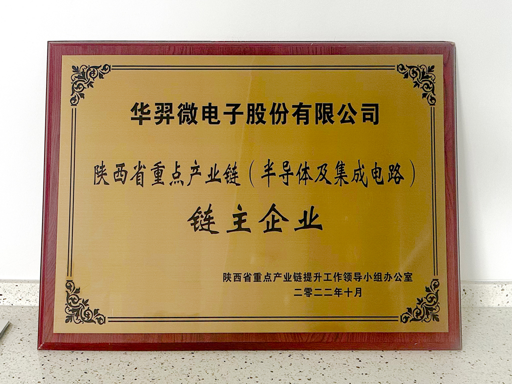 Advantageous enterprises in the key industrial chain (semiconductor and integrated circuits) of Shaanxi Province